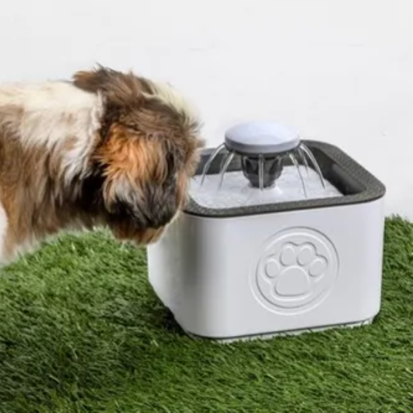 Fuente Bebedero Fuente De Agua Eléctrico Para Mascotas