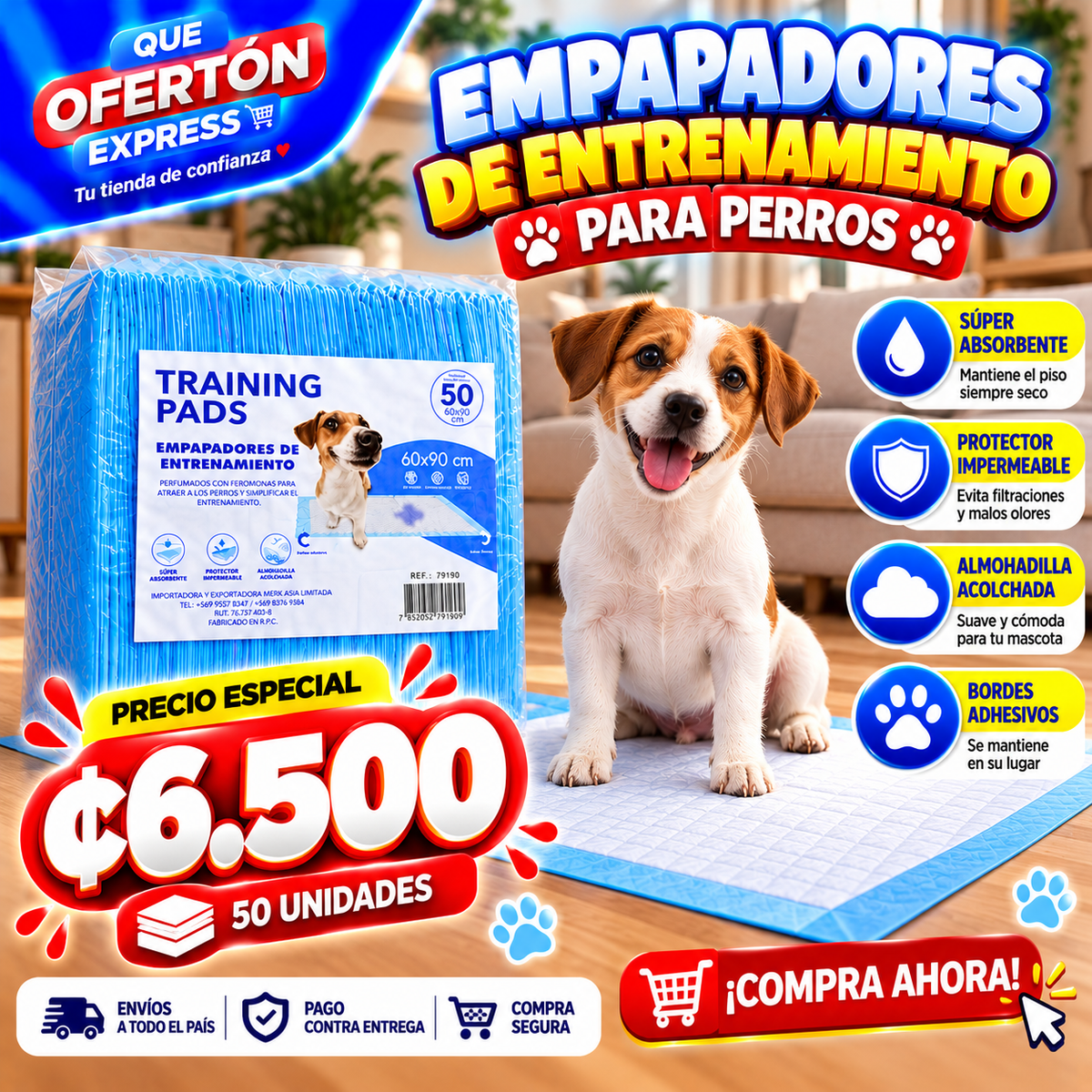🐶 EMPAPADORES DE ENTRENAMIENTO PARA PERROS 🐾