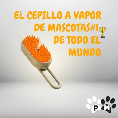 CEPILLO A VAPOR Hydro Brush ®