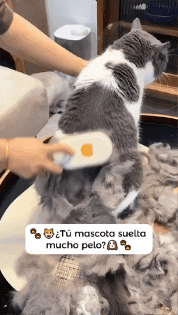 CEPILLO A VAPOR Hydro Brush ®