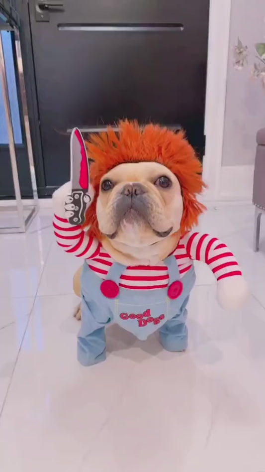 🐾 🔪 Disfraz de Mascota Chuky
¡
