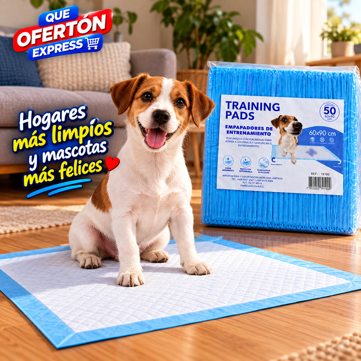 🐶 EMPAPADORES DE ENTRENAMIENTO PARA PERROS 🐾