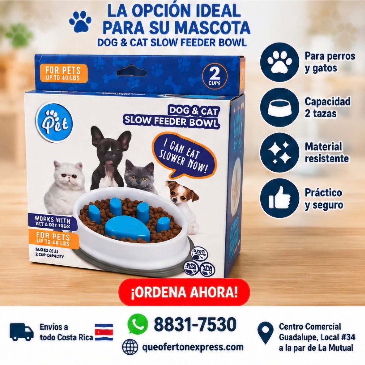 🐶🐱 COMEDERO LENTO PARA PERROS Y GATOS 🐾