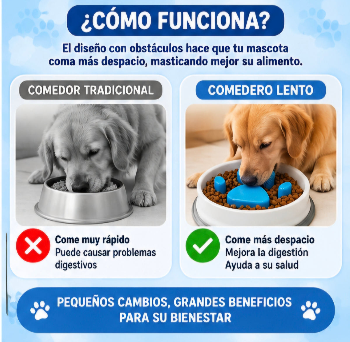 🐶🐱 COMEDERO LENTO PARA PERROS Y GATOS 🐾