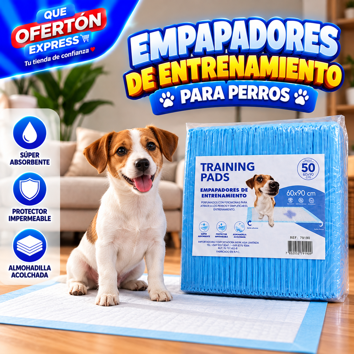 🐶 EMPAPADORES DE ENTRENAMIENTO PARA PERROS 🐾