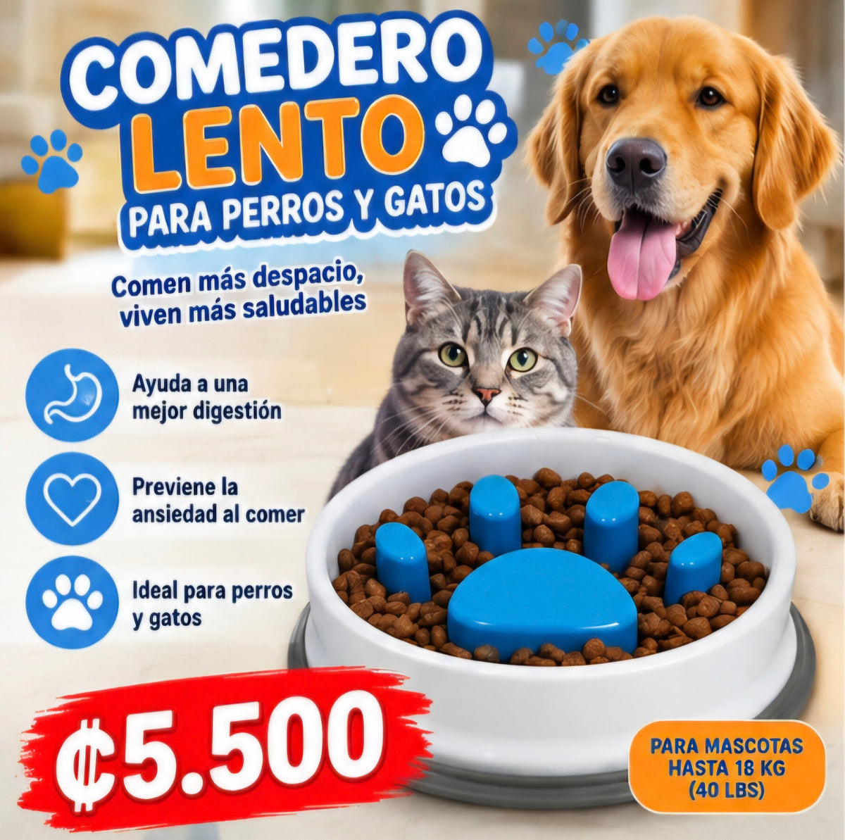 🐶🐱 COMEDERO LENTO PARA PERROS Y GATOS 🐾