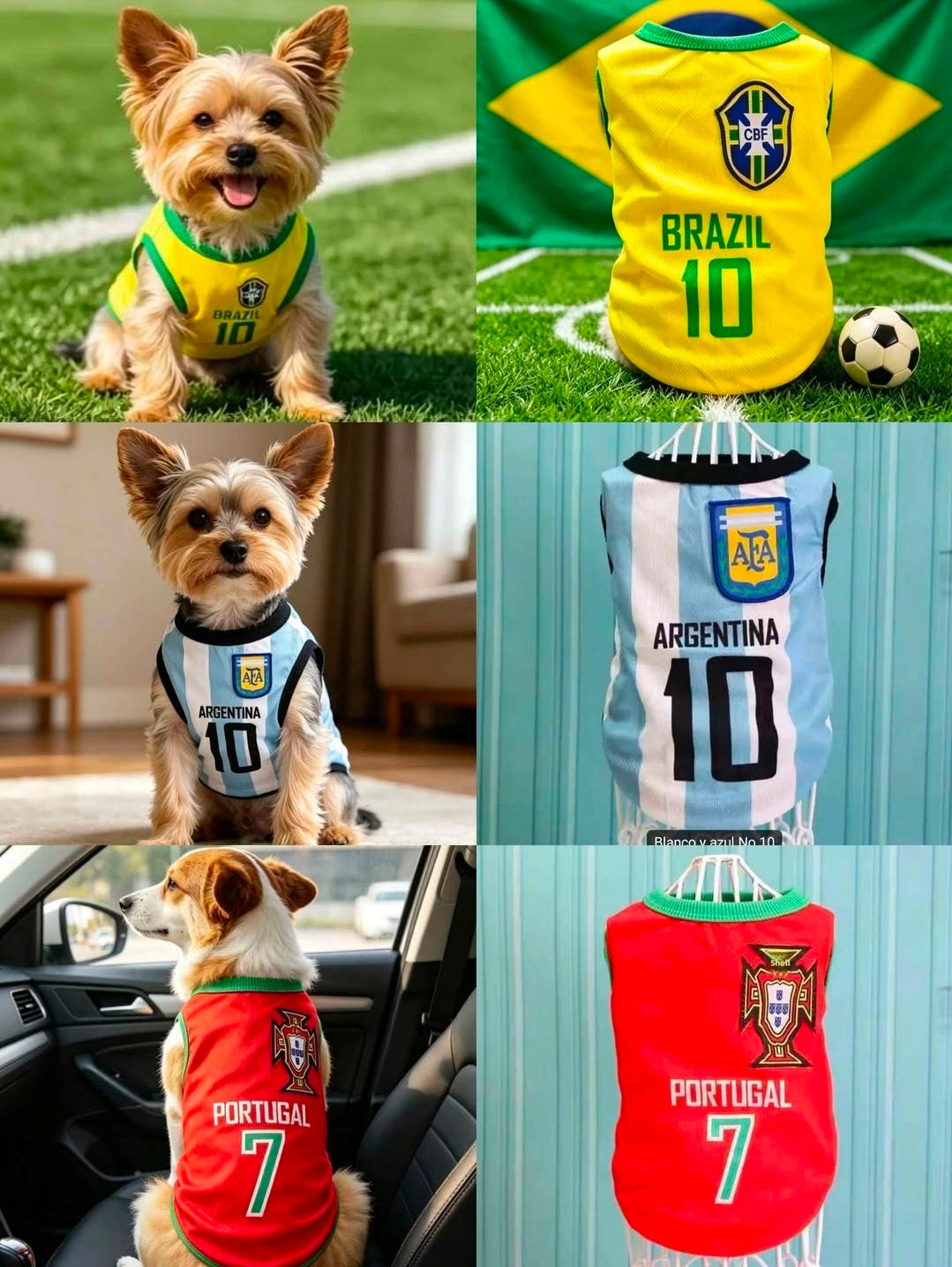 🐶🇦🇷 Camiseta para Mascota Argentina #10