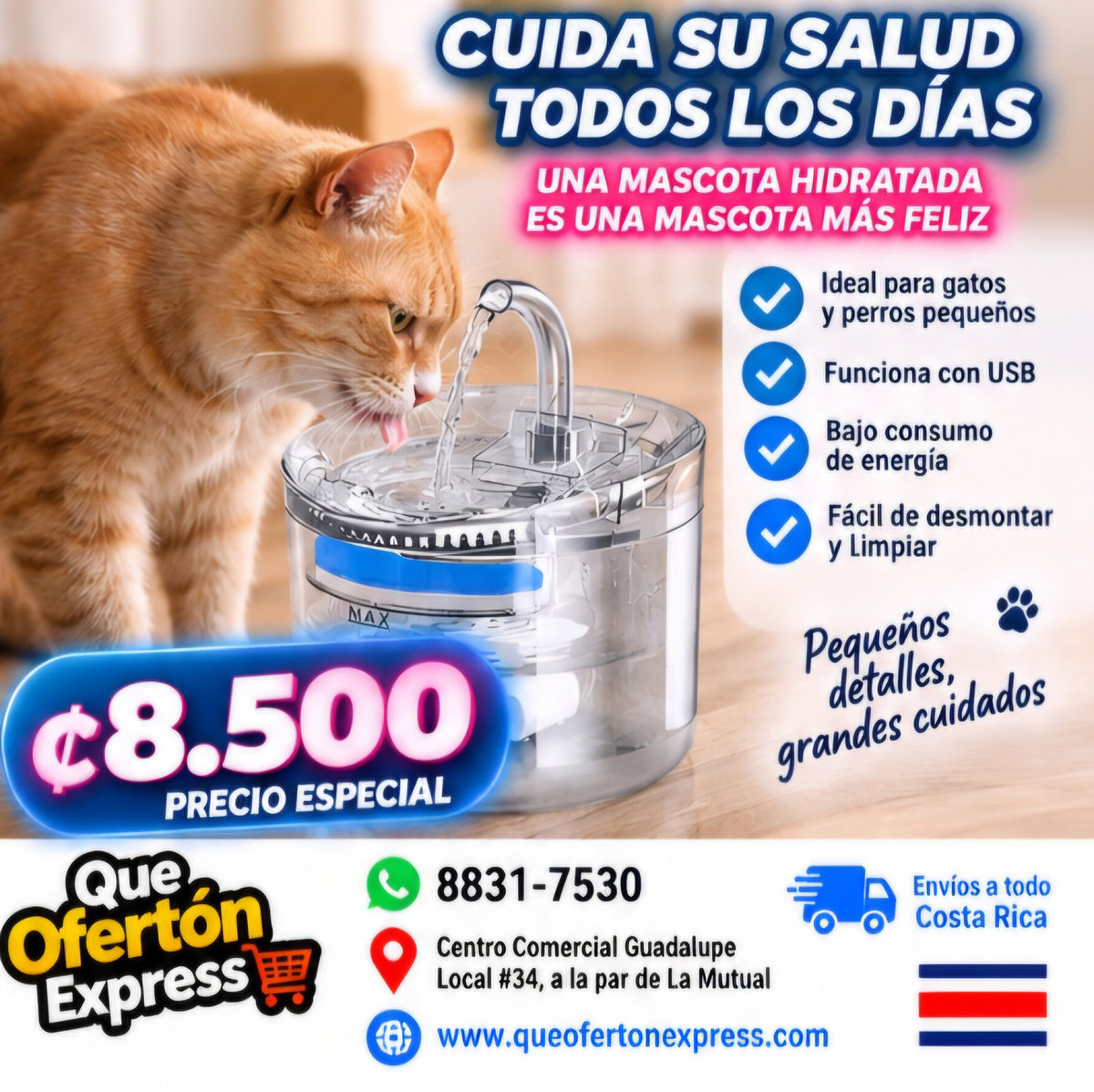 🐾 FUENTE DE AGUA PARA MASCOTAS 💧