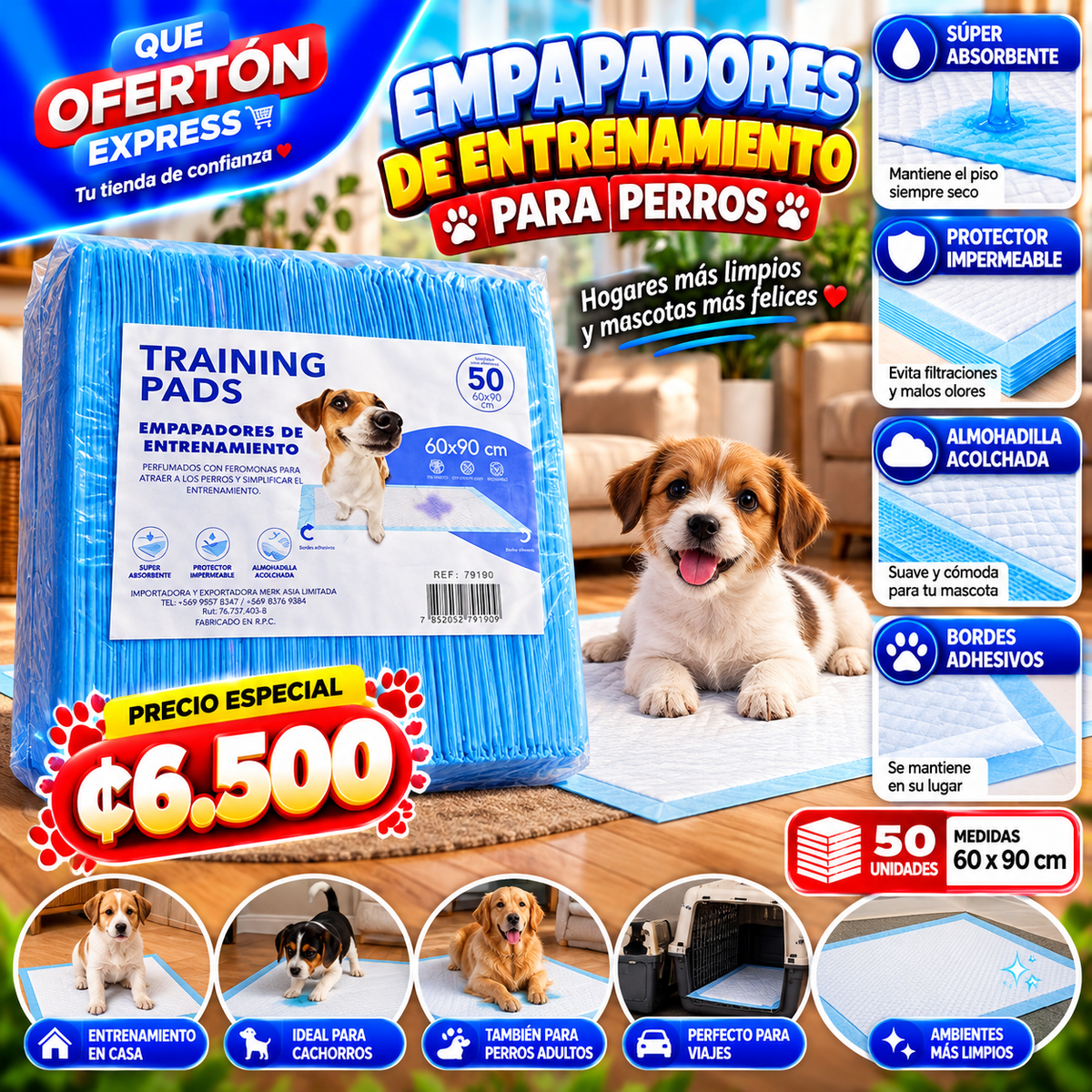 🐶 EMPAPADORES DE ENTRENAMIENTO PARA PERROS 🐾