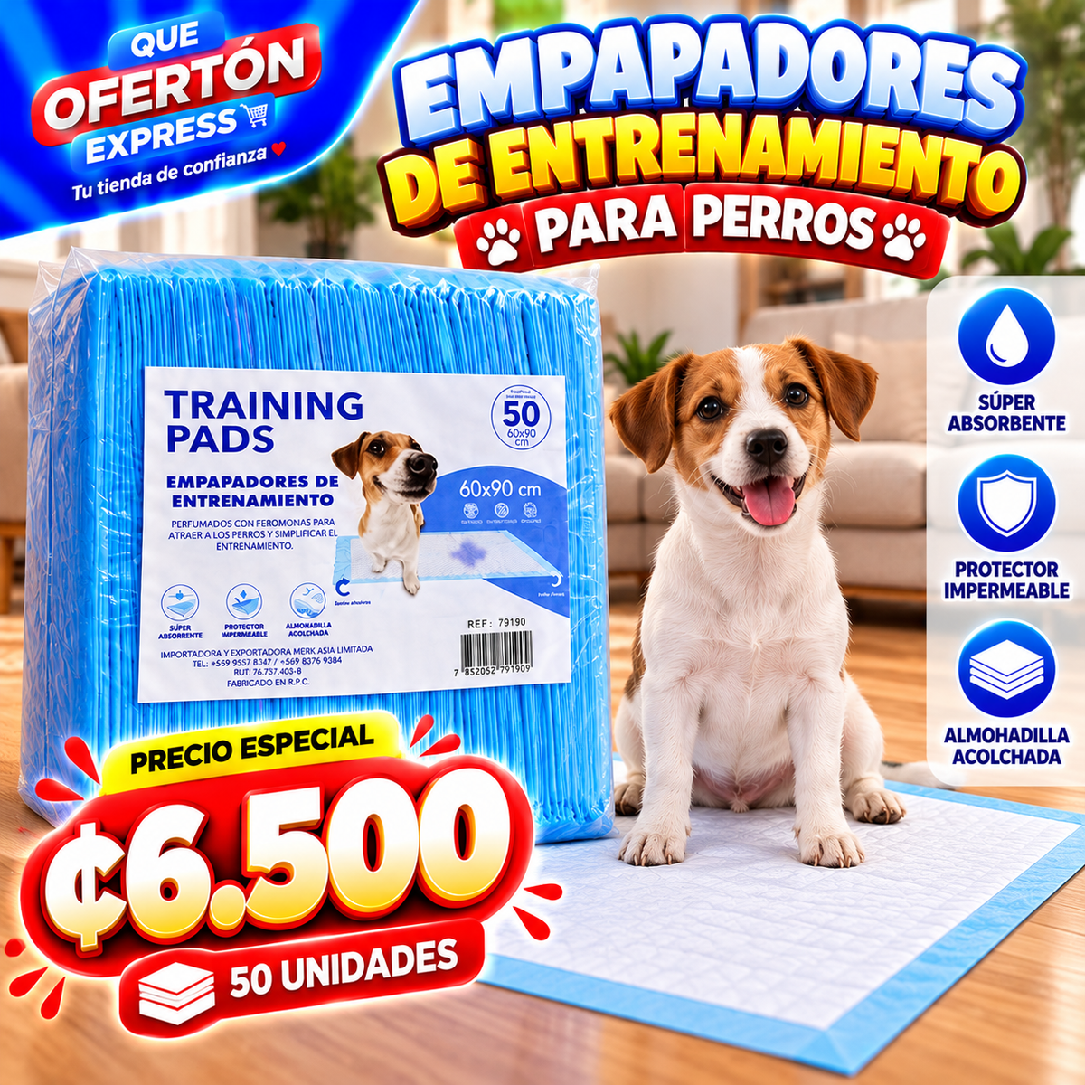 🐶 EMPAPADORES DE ENTRENAMIENTO PARA PERROS 🐾